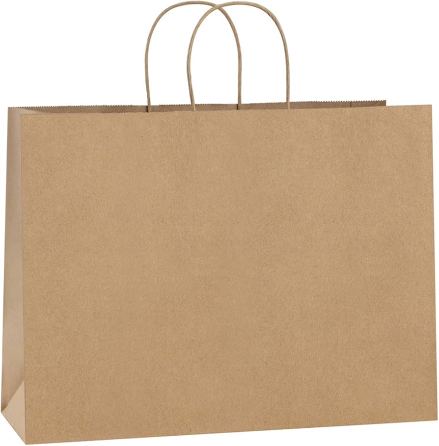 Large Cardboard Gift Bag