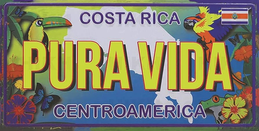 Pura Vida Souvenir Plaque