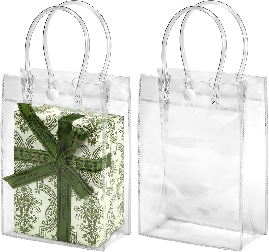 Small Transparent Gift Bag