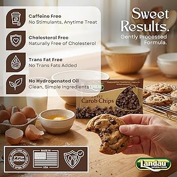 Landau Sweet Carob Chips Kosher Parve 340g