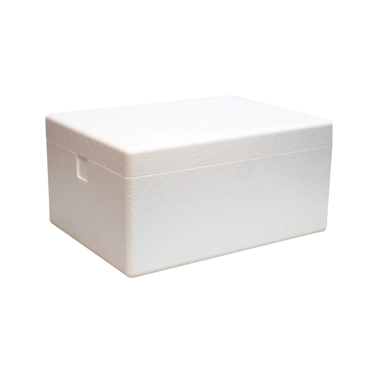 Cooler 10 L