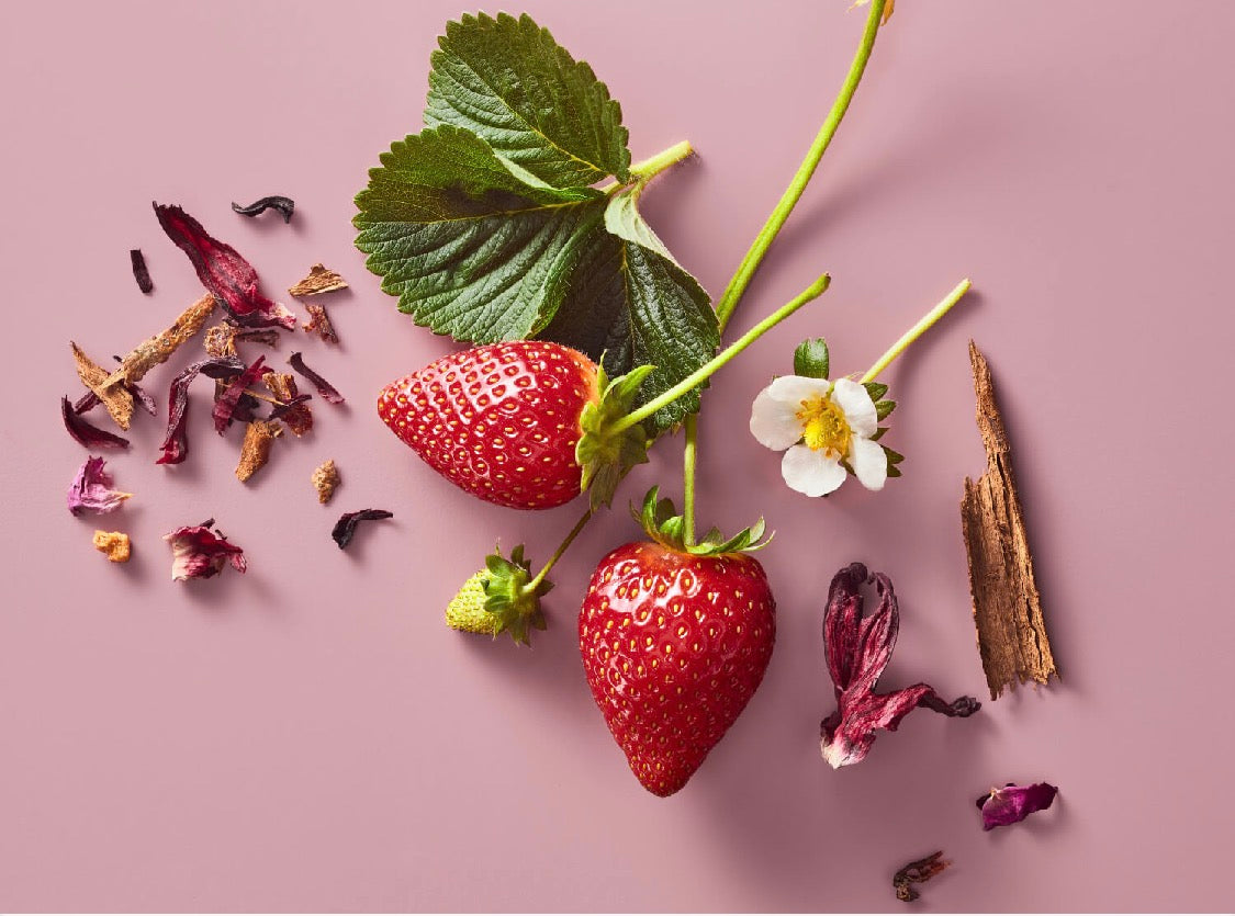 WISSOTZKY Strawberry Burst Tea 1.76 oz