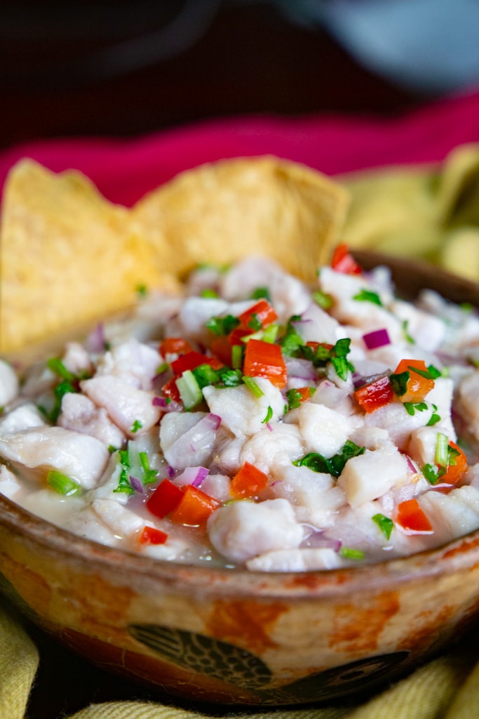 Costa Rica Ceviche