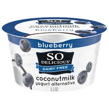 Yogurt Coconut Blueberry Parve