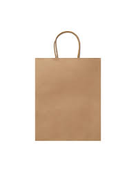 Medium Carton Bag For Gift