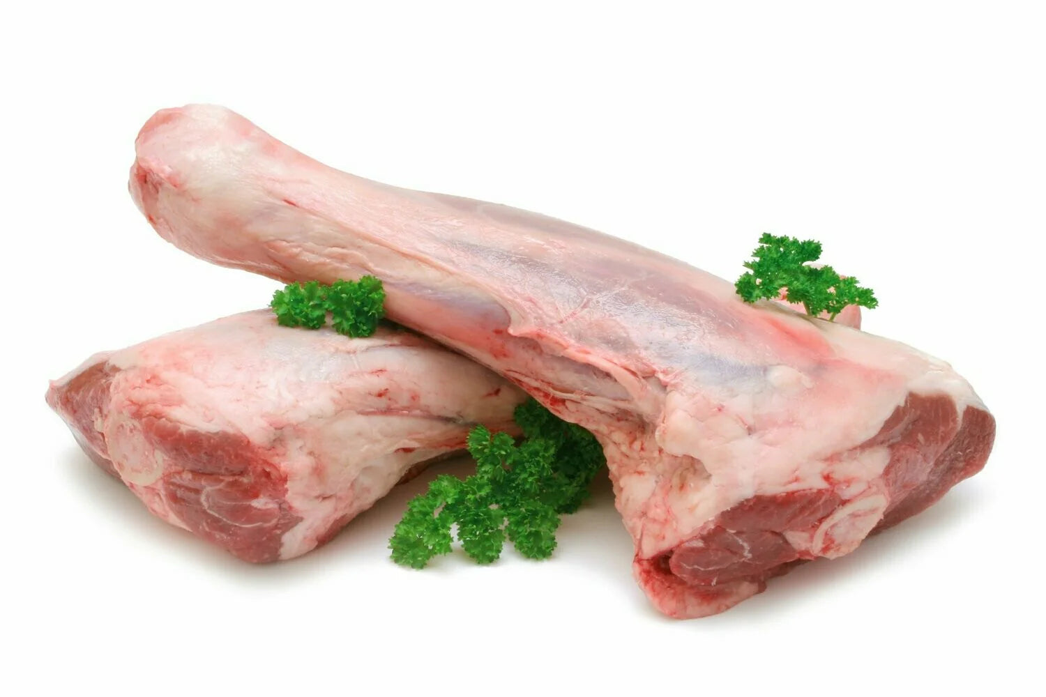 Rosenblatt Lamb  Shank Premium Kosher Passover