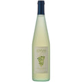 JOYVIN WHITE RASHI